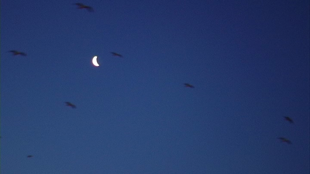 Download Platja inspirat sala destar HD Platja Inspirat Sala Destar