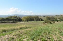 Ripollet, Mas Duran, 8 d'octubre de 2025, Institut Escola El Martinet