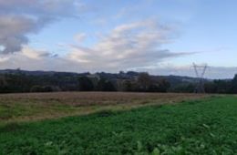 Abellá, Mesía. 1 de novembro de 2025, CPI de Xanceda