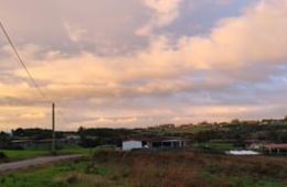 Leo_Abellá_14nov_8h33