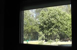 presentacion_del_colegio_a_rua_desde_la_ventana