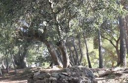diari_despais._escola_riera_de_ribes