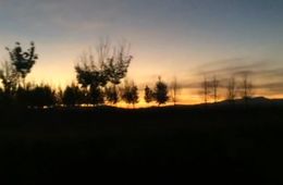 victoria_davila_traveling