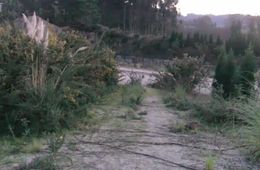 Cantera, de Paula