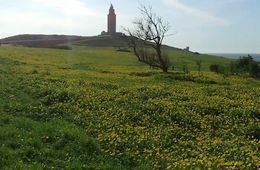 unha_tarde_soleada_na_coruna