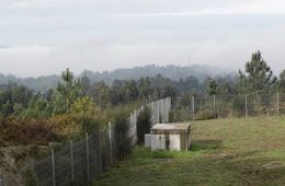 ies_do_milladoiro_grupo_01