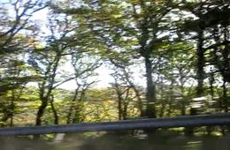 travelling_de_andrea