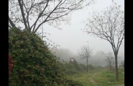 diario_de_espacios_colectivo_niebla