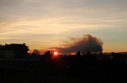 isona_pladelmon-2