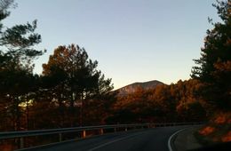traveling