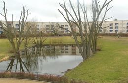 hufeisensiedlung