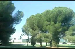 joan_rossell_travelling
