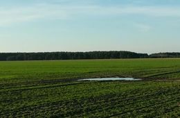 gruppe_emilie_bruck