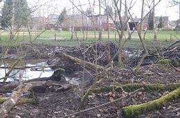furstenwalde_berkenbruck