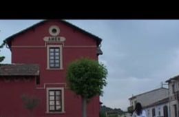Trobades fortuites, Institut Castell d'Estela, Cinema en curs 2005-2006