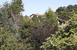 El otoño al mediodía en Lasarte-Oria, Oriarte Institutua (Lasarte)