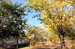 Vistas del parque del Pradolongo, 6 de noviembre de 2018. Tanaima, Laura C., Iván J., CPEE Joan Miró (Madrid)