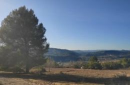 Filmem els arbres, Institut Castellet