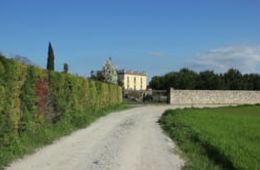 Can Torra