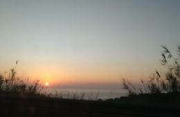 Camins de mar, Institut Barres i Ones
