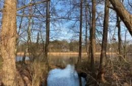 Recherche_Falkensee_EXPORT_200112_Eliya_Falkensee 1