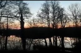 Export_Bilder der Welt_191227_Arthur 2_Gross Koeris