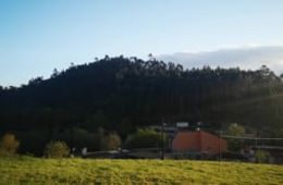 Cerdedo-Cotobade, Aitana Portela, CEIP de Tenorio, abril de 2020