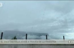 Cinema en curs al Telenotícies Vespre de TV3, 26 d'abril de 2020
