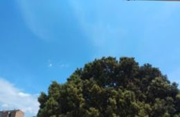 SantVicençdeCastellet_ClaudiaMampel_ICastellet4t
