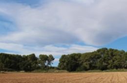 Sant Pere de Ribes, 15 d'octubre. Filmem a la manera de Claudio Caldini. Escola Riera de Ribes