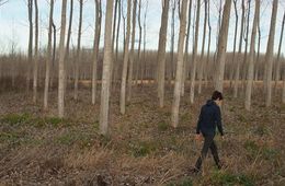 Filmo a la manera de 'Los muertos', de Lisandro Alonso. Núria, Escola de Bordils
