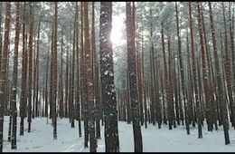 "Wir filmen Himmel und Bäume", Groß Köris, 8.2.2021, Grund- und Oberschule Schenkenland
