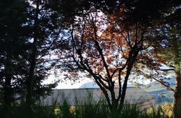 Tremp, abril 2021. Ana Nita, Institut Tremp (Tremp).mp4