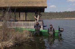 'Arbeiten am See', Grundschule Hanna von Pestalozza (Potsdam)