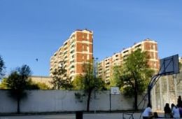 Ferreira_Irene