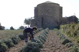 L’ermita de Sant Pau, Escola Riera de Ribes, Cinema en curs 2012-2013