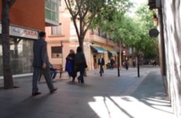 El carrer de Rogent i el parc de Can Miralletes, Institut Moisès Broggi, Cinema en curs 2012-2013