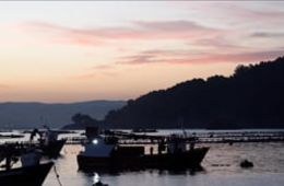 'Da madeira ao mar', IES O Mosteirón (Sada), Cinema en curso 2021-2022