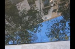 'Les meravelles del jardí blau', Escola Baixeras (Barcelona), Petit Cinema en curs 2022-2023