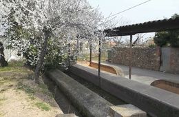 El safareig de Bordils- 3r i 4t de primària- Escola de Bordils (2013-2014)