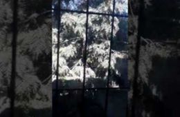 lucas_barra